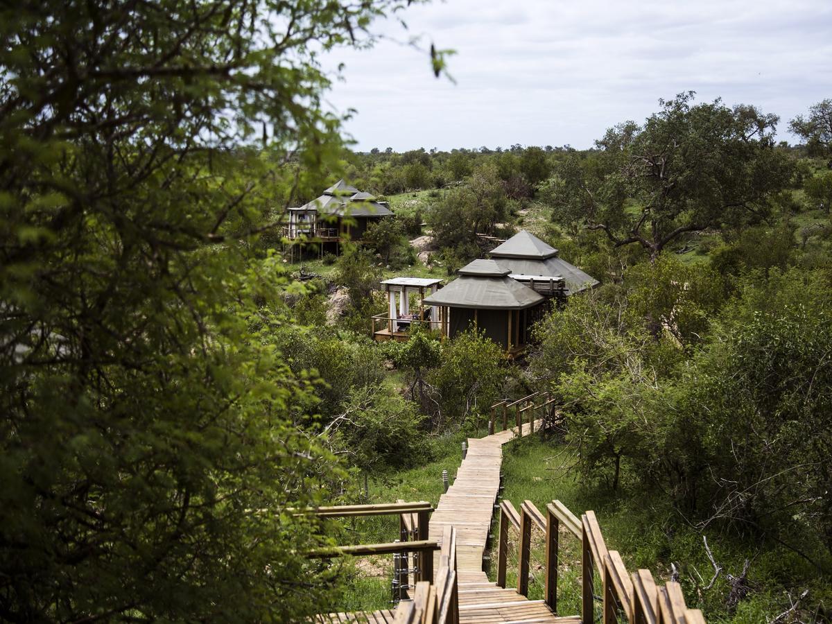 Simbavati Hilltop Lodge Тімбаваті-Ґейм-Резерв Екстер'єр фото